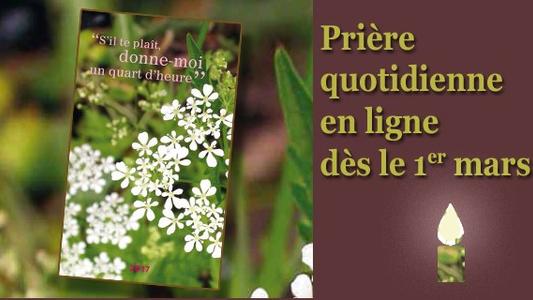 Vignette annonce STP2017