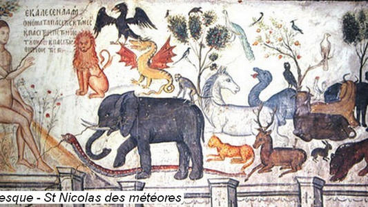 Vignette_Meteores