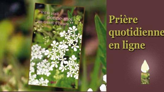 Vignette-STP2017