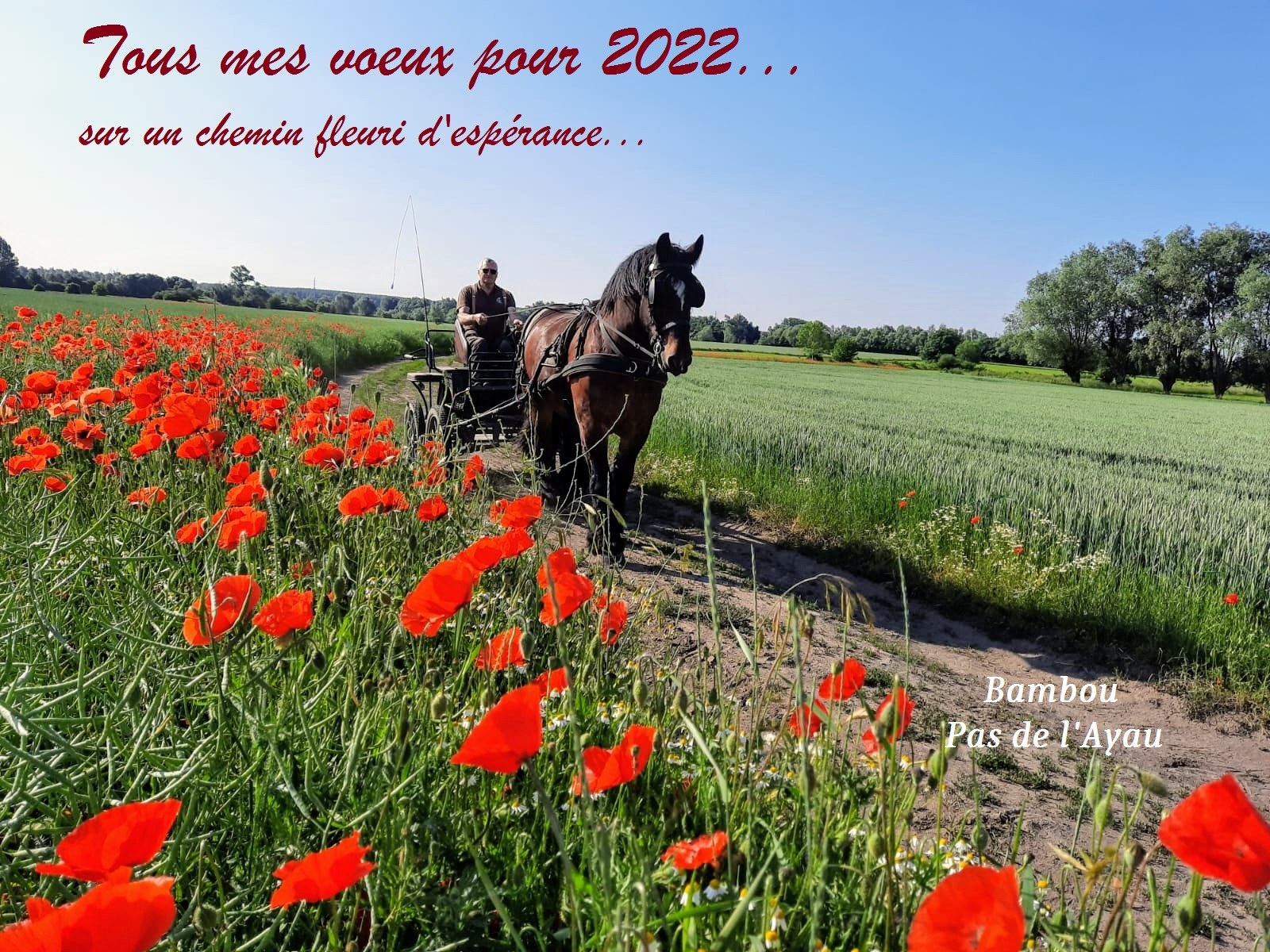 voeux 2022