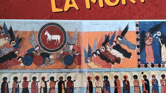 WhatsApp Image 2026-02-09 at 17.10.05