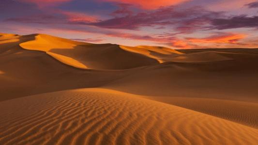 WhatsApp Image 2026-03-12 at 10.08.42