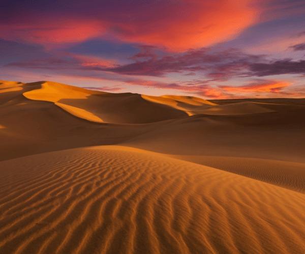 WhatsApp Image 2026-03-12 at 10.08.42